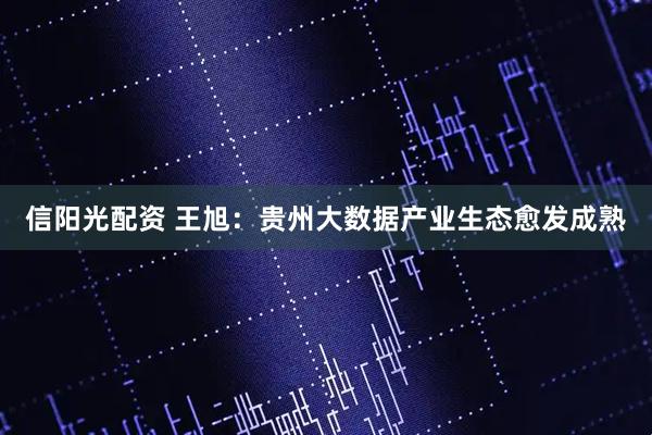 信阳光配资 王旭：贵州大数据产业生态愈发成熟