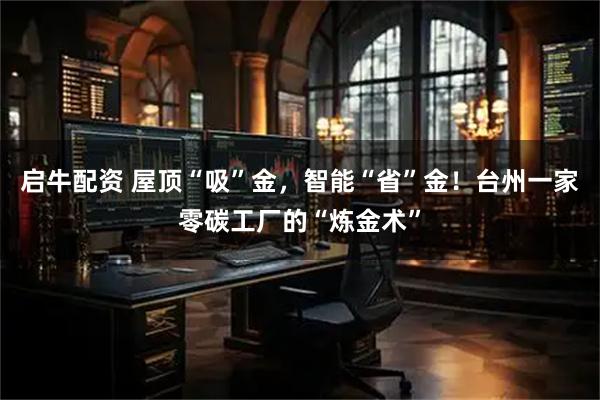 启牛配资 屋顶“吸”金，智能“省”金！台州一家零碳工厂的“炼金术”