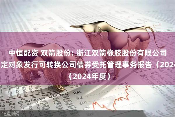 中恒配资 双箭股份: 浙江双箭橡胶股份有限公司向不特定对象发行可转换公司债券受托管理事务报告（2024年度）